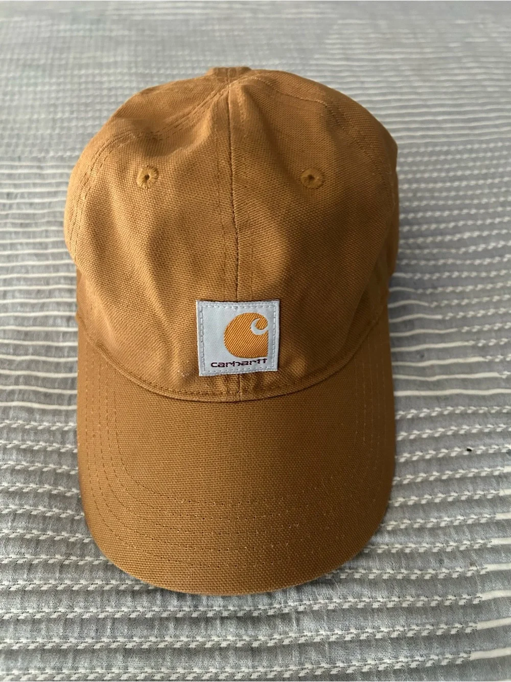 Carhartt signature canvas adjustable youth cap